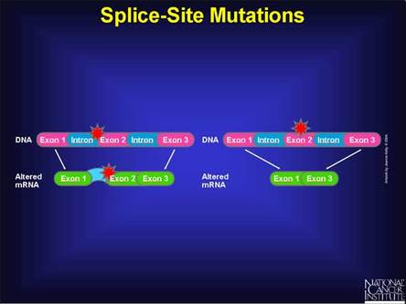 Splice mutation
